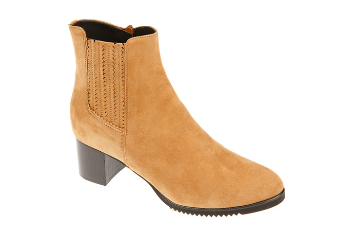 Pascutti - dames - bottines - Ref. 206-14138